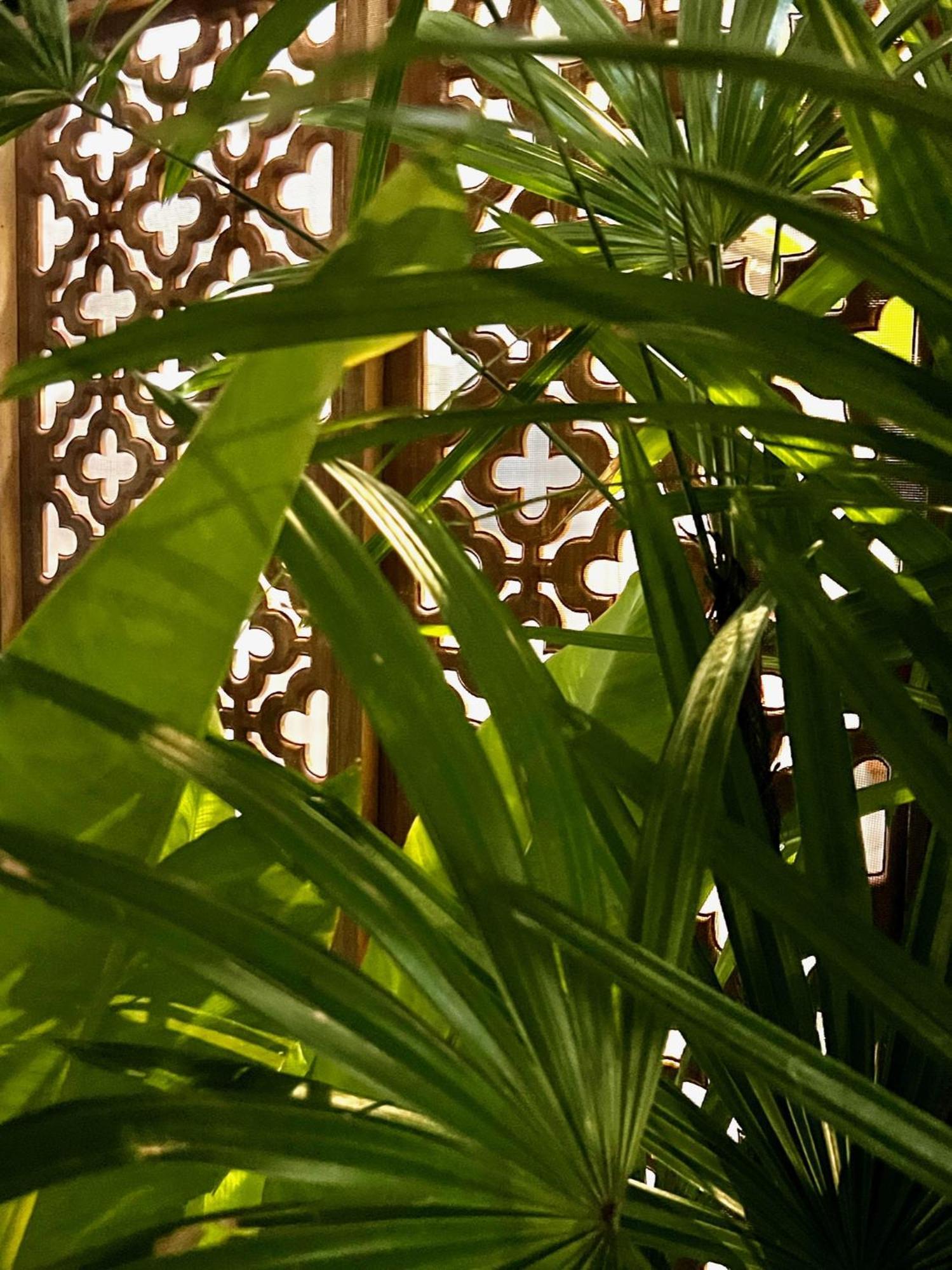 Feriehus Casas Pa Cha Si Amphoe Koksamui